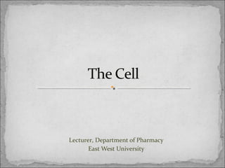 Lecturer, Department of Pharmacy
East West University
 