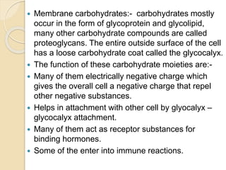  Membrane carbohydrates:- carbohydrates mostly
occur in the form of glycoprotein and glycolipid,
many other carbohydrate compounds are called
proteoglycans. The entire outside surface of the cell
has a loose carbohydrate coat called the glycocalyx.
 The function of these carbohydrate moieties are:-
 Many of them electrically negative charge which
gives the overall cell a negative charge that repel
other negative substances.
 Helps in attachment with other cell by glyocalyx –
glycocalyx attachment.
 Many of them act as receptor substances for
binding hormones.
 Some of the enter into immune reactions.
 