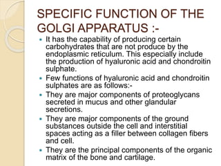 SPECIFIC FUNCTION OF THE
GOLGI APPARATUS :-
 It has the capability of producing certain
carbohydrates that are not produce by the
endoplasmic reticulum. This especially include
the production of hyaluronic acid and chondroitin
sulphate.
 Few functions of hyaluronic acid and chondroitin
sulphates are as follows:-
 They are major components of proteoglycans
secreted in mucus and other glandular
secretions.
 They are major components of the ground
substances outside the cell and interstitial
spaces acting as a filler between collagen fibers
and cell.
 They are the principal components of the organic
matrix of the bone and cartilage.
 