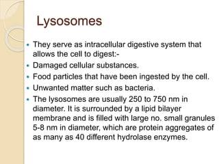 Lysosomes
 They serve as intracellular digestive system that
allows the cell to digest:-
 Damaged cellular substances.
 Food particles that have been ingested by the cell.
 Unwanted matter such as bacteria.
 The lysosomes are usually 250 to 750 nm in
diameter. It is surrounded by a lipid bilayer
membrane and is filled with large no. small granules
5-8 nm in diameter, which are protein aggregates of
as many as 40 different hydrolase enzymes.
 