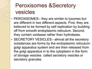 Peroxisomes &Secretory
vesicles
 PEROXISOMES:- they are similar to lysomes but
are different in two different aspects. First, they are
believed to be formed by self replication by budding
off from smooth endoplasmic reticulum. Second,
they contain oxidases rather than hydrolases.
 SECRETORY VESICLES:- almost all the secretory
substances are forms by the endoplasmic reticulum-
golgi apparatus system and are then released from
the golgi apparatus in to the cytoplasm in the form
of storage vesicles called secretory vesicles or
secretory granules.
 