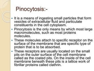 Pinocytosis:-
 It is a means of ingesting small particles that form
vesicles of extracellular fluid and particulate
constituents in the cell cytoplasm.
 Pinocytosis is the only means by which most large
macromolecules, such as most proteins
molecules.
 These molecules attach to specific receptor on the
surface of the membrane that are specific type of
protein that is to be absorbed.
 These receptors are usually located on the small
pits on the outer surface of the cell membrane
called as the coated pits. On the inside of the cell
membrane beneath these pits is a lattice work of
fibrillar proteins called clathrin.
 