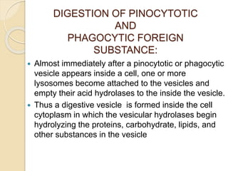 DIGESTION OF PINOCYTOTIC
AND
PHAGOCYTIC FOREIGN
SUBSTANCE:
 Almost immediately after a pinocytotic or phagocytic
vesicle appears inside a cell, one or more
lysosomes become attached to the vesicles and
empty their acid hydrolases to the inside the vesicle.
 Thus a digestive vesicle is formed inside the cell
cytoplasm in which the vesicular hydrolases begin
hydrolyzing the proteins, carbohydrate, lipids, and
other substances in the vesicle
 