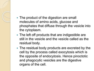  The product of the digestion are small
molecules of amino acids, glucose and
phosphates that diffuse through the vesicle into
the cytoplasm.
 The left off products that are indigestible are
still in the vesicle and the vesicle called as the
residual body.
 The residual body products are excreted by the
cell by the process called exocytosis which is
the opposite of endocytosis. Hence pinoctotic
and phagocytic vesicles are the digestive
organs of the cell.
 