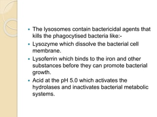  The lysosomes contain bactericidal agents that
kills the phagocytised bacteria like:-
 Lysozyme which dissolve the bacterial cell
membrane.
 Lysoferrin which binds to the iron and other
substances before they can promote bacterial
growth.
 Acid at the pH 5.0 which activates the
hydrolases and inactivates bacterial metabolic
systems.
 