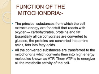 FUNCTION OF THE
MITOCHONDRIA:-
 The principal substances from which the cell
extracts energy are foodstuff that reacts with
oxygen--- carbohydrates, proteins and fat.
Essentially all carbohydrates are converted to
glucose, the proteins are converted into amino
acids, fats into fatty acids.
 All the converted substances are transferred to the
mitochondria which converts then into high energy
molecules known as ATP. Them ATP is to energize
all the metabolic activity of the cell.
 