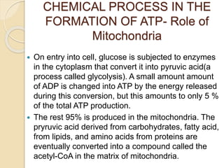 CHEMICAL PROCESS IN THE
FORMATION OF ATP- Role of
Mitochondria
 On entry into cell, glucose is subjected to enzymes
in the cytoplasm that convert it into pyruvic acid(a
process called glycolysis). A small amount amount
of ADP is changed into ATP by the energy released
during this conversion, but this amounts to only 5 %
of the total ATP production.
 The rest 95% is produced in the mitochondria. The
pryruvic acid derived from carbohydrates, fatty acid,
from lipids, and amino acids from proteins are
eventually converted into a compound called the
acetyl-CoA in the matrix of mitochondria.
 