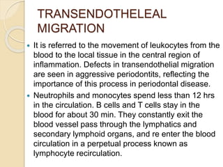 TRANSENDOTHELEAL
MIGRATION
 It is referred to the movement of leukocytes from the
blood to the local tissue in the central region of
inflammation. Defects in transendothelial migration
are seen in aggressive periodontits, reflecting the
importance of this process in periodontal disease.
 Neutrophils and monocytes spend less than 12 hrs
in the circulation. B cells and T cells stay in the
blood for about 30 min. They constantly exit the
blood vessel pass through the lymphatics and
secondary lymphoid organs, and re enter the blood
circulation in a perpetual process known as
lymphocyte recirculation.
 