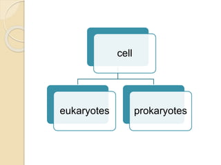 cell
eukaryotes prokaryotes
 