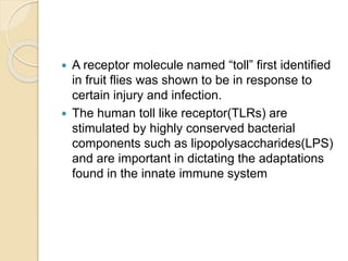  A receptor molecule named “toll” first identified
in fruit flies was shown to be in response to
certain injury and infection.
 The human toll like receptor(TLRs) are
stimulated by highly conserved bacterial
components such as lipopolysaccharides(LPS)
and are important in dictating the adaptations
found in the innate immune system
 