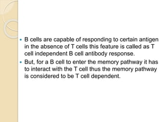  B cells are capable of responding to certain antigen
in the absence of T cells this feature is called as T
cell independent B cell antibody response.
 But, for a B cell to enter the memory pathway it has
to interact with the T cell thus the memory pathway
is considered to be T cell dependent.
 
