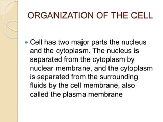 ORGANIZATION OF THE CELL
 Cell has two major parts the nucleus
and the cytoplasm. The nucleus is
separated from the cytoplasm by
nuclear membrane, and the cytoplasm
is separated from the surrounding
fluids by the cell membrane, also
called the plasma membrane
 