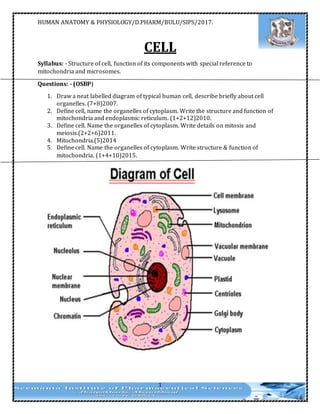 HUMAN ANATOMY & PHYSIOLOGY/D.PHARM/BULU/SIPS/2017.
1
CELL
Syllabus: - Structure of cell, function of its components with special reference to
mitochondria and microsomes.
Questions: - (OSBP)
1. Draw a neat labelled diagram of typical human cell, describe briefly about cell
organelles. (7+8)2007.
2. Define cell, name the organelles of cytoplasm. Write the structure and function of
mitochondria and endoplasmic reticulum. (1+2+12)2010.
3. Define cell. Name the organelles of cytoplasm. Write details on mitosis and
meiosis.(2+2+6)2011.
4. Mitochondria.(5)2014
5. Define cell. Name the organelles of cytoplasm. Write structure & function of
mitochondria. (1+4+10)2015.
 