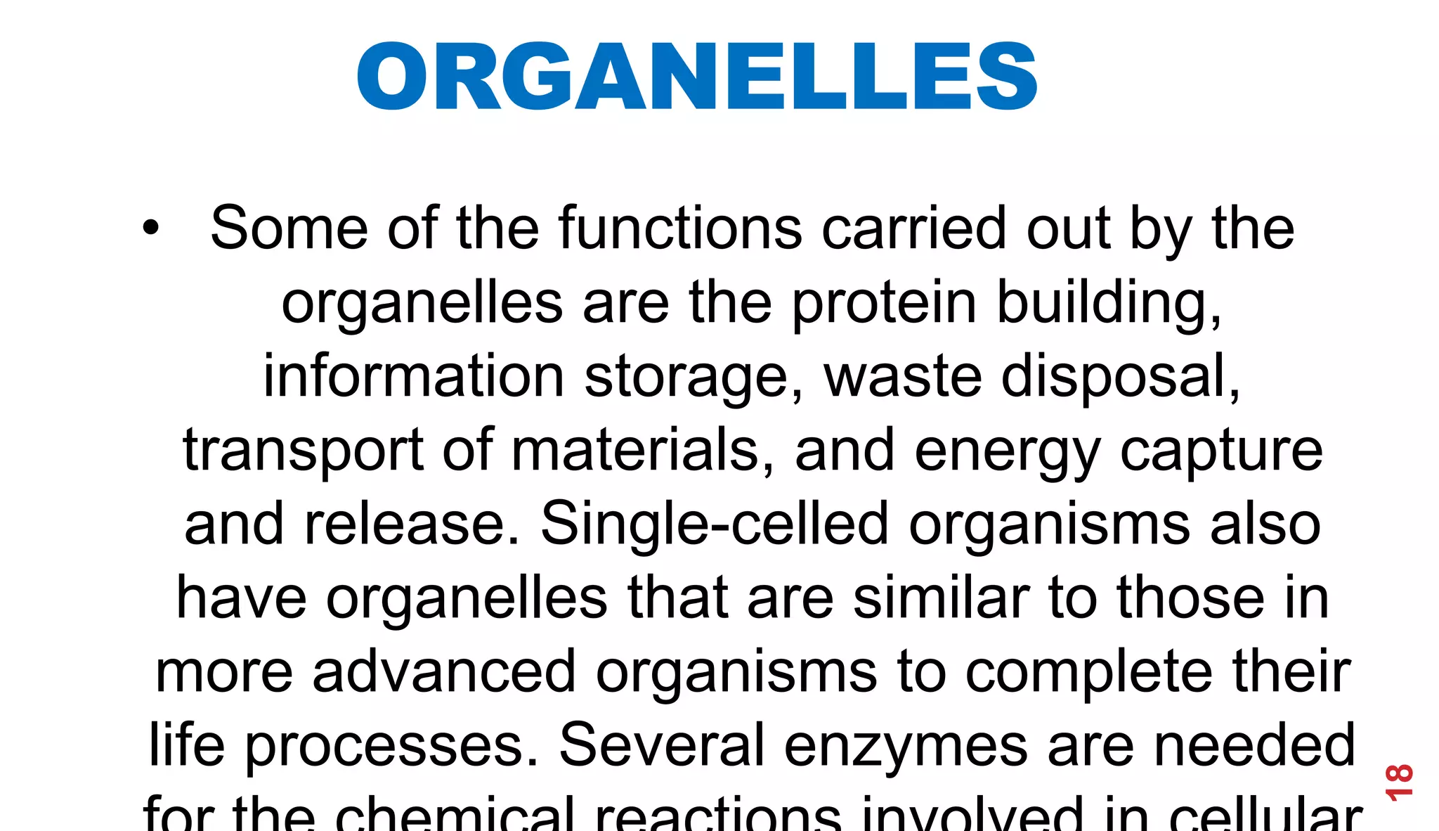 18
ORGANELLES
• Some of the functions carried out by the
organelles are the protein building,
information storage, waste disposal,
transport of materials, and energy capture
and release. Single-celled organisms also
have organelles that are similar to those in
more advanced organisms to complete their
life processes. Several enzymes are needed
 