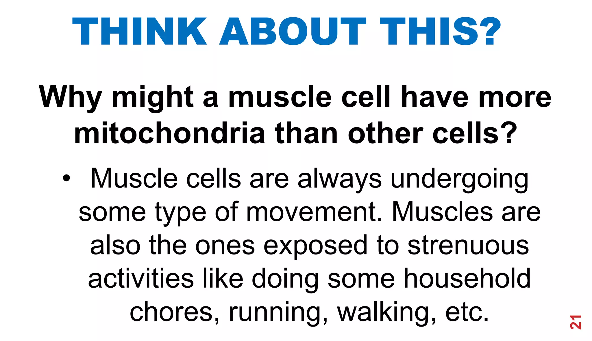 21
THINK ABOUT THIS?
Why might a muscle cell have more
mitochondria than other cells?
• Muscle cells are always undergoing
some type of movement. Muscles are
also the ones exposed to strenuous
activities like doing some household
chores, running, walking, etc.
 