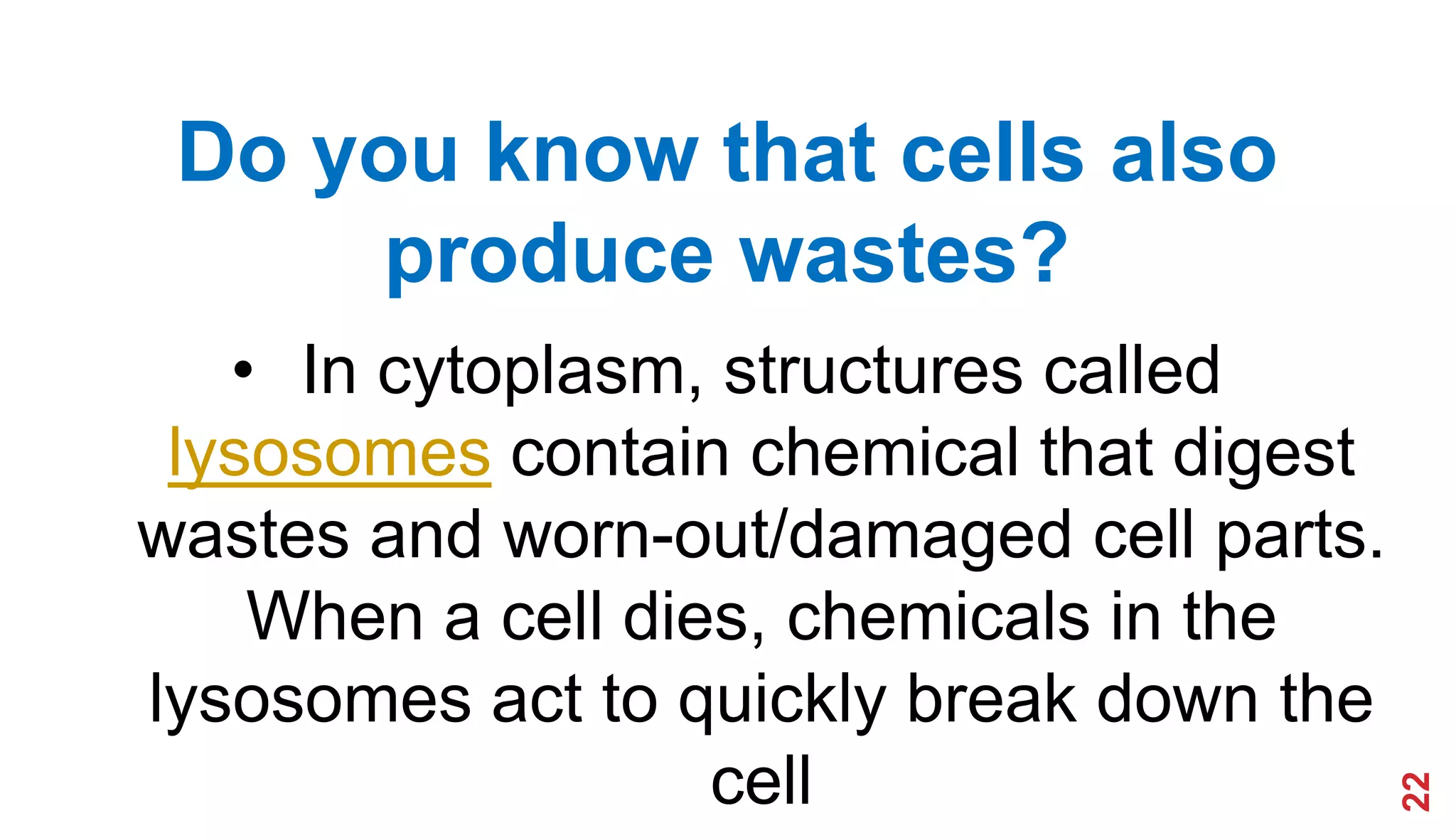 22
Do you know that cells also
produce wastes?
• In cytoplasm, structures called
lysosomes contain chemical that digest
wastes and worn-out/damaged cell parts.
When a cell dies, chemicals in the
lysosomes act to quickly break down the
cell
 