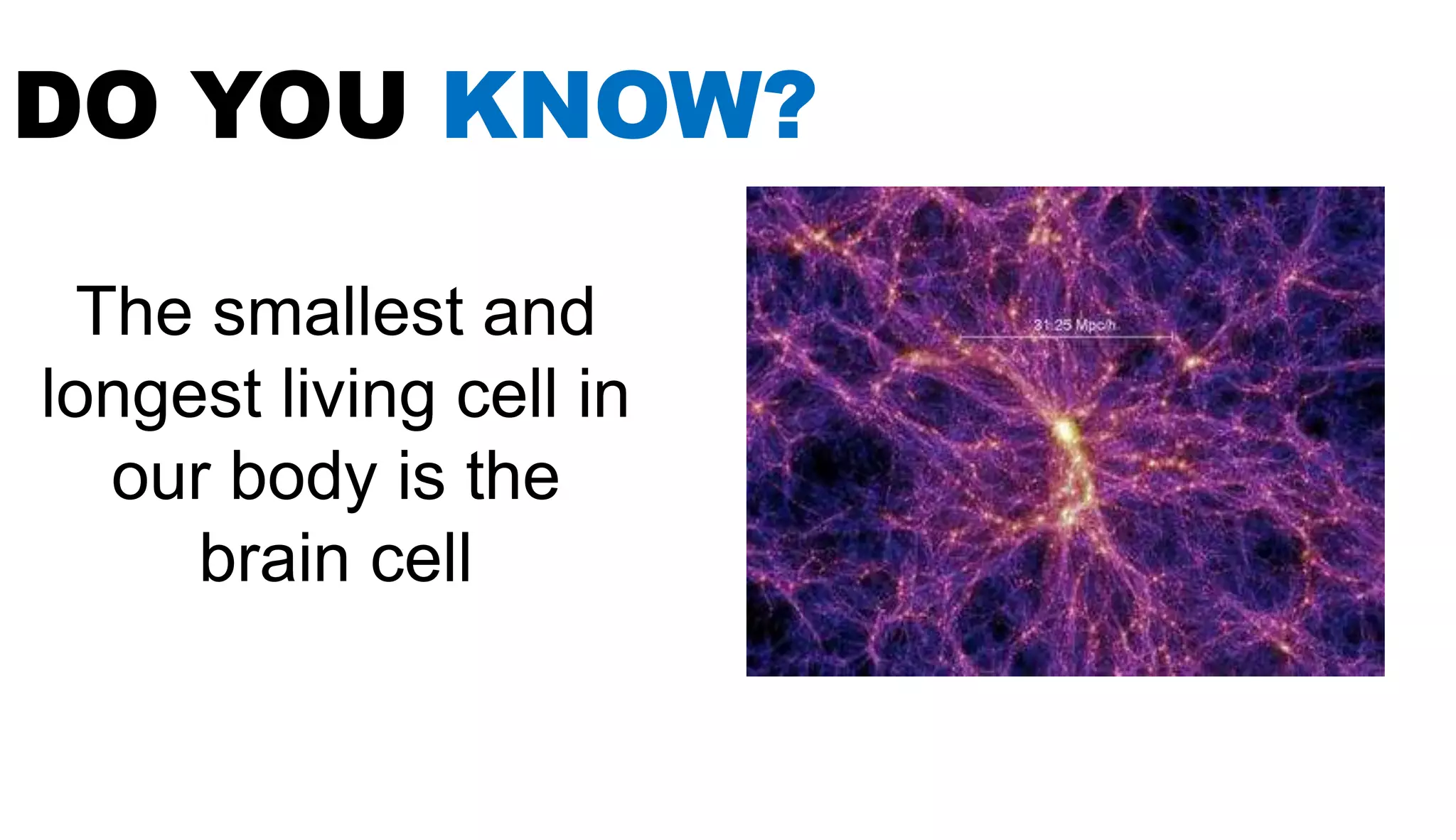 The smallest and
longest living cell in
our body is the
brain cell
DO YOU KNOW?
 