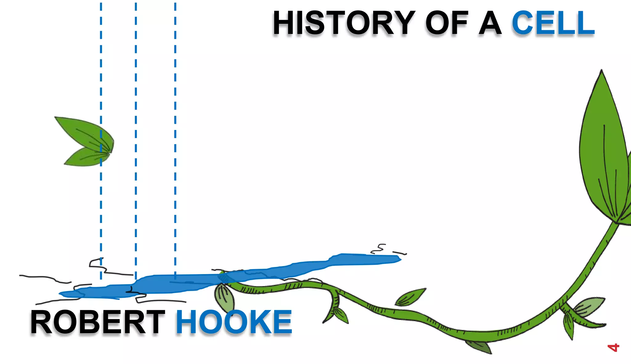 HISTORY OF A CELL
ROBERT HOOKE
4
 