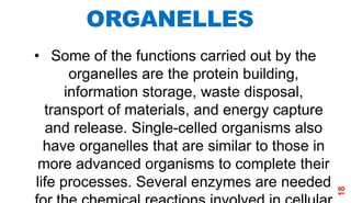 Cell: The Basic Unit of Life | PPTX