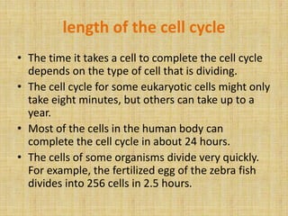 Cell cycle & cell division | PPTX