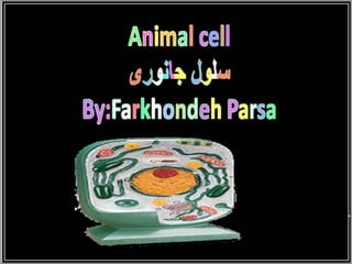 animals Cell 