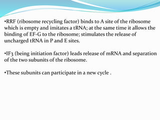 termination of translation - protein synthesis | PPTX