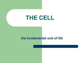 THE CELL
the fundamental unit of life
 