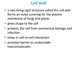 Cell, the unit of life | PPTX