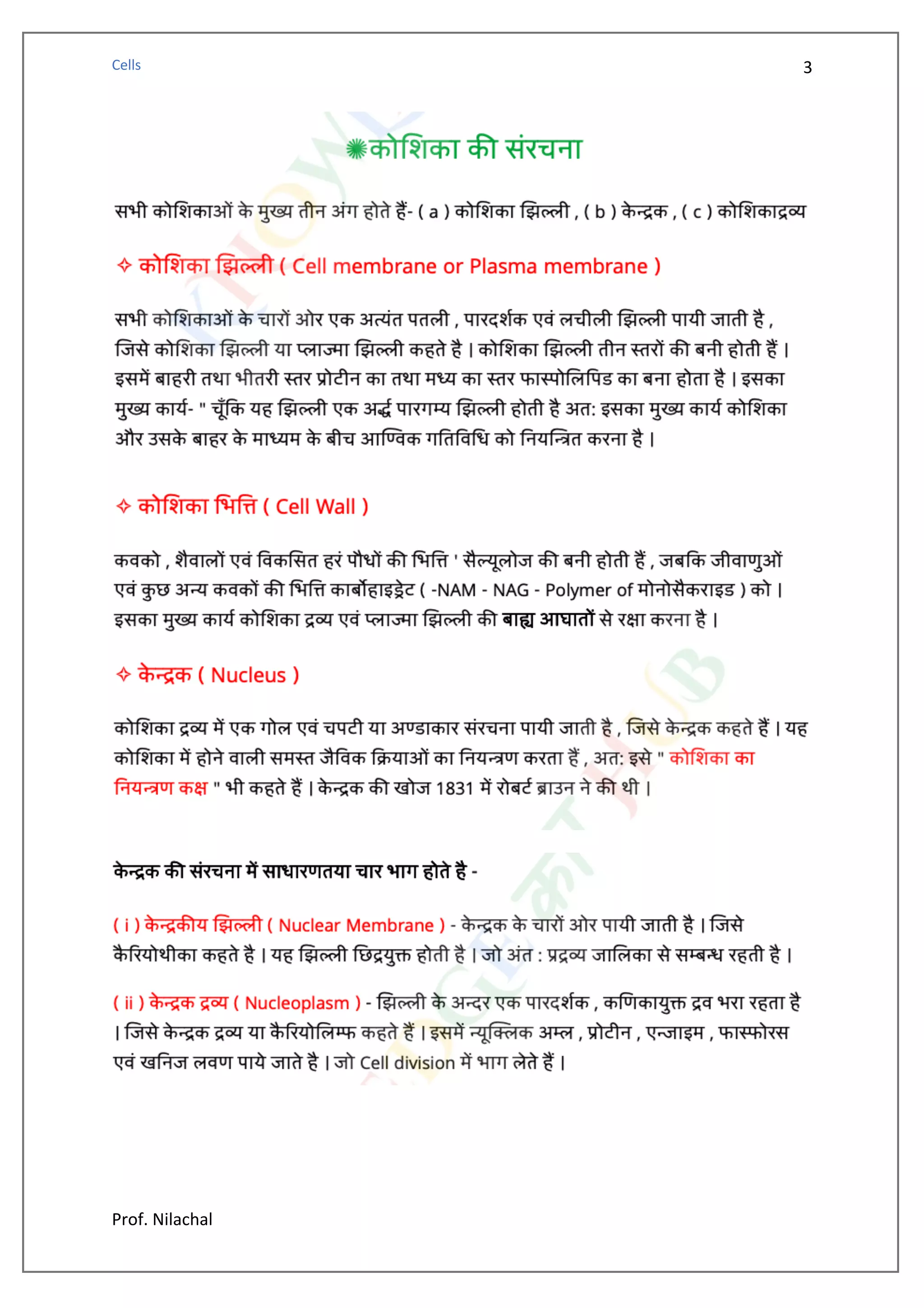 Cell and Its Structure and Function (Hindi) | PDF