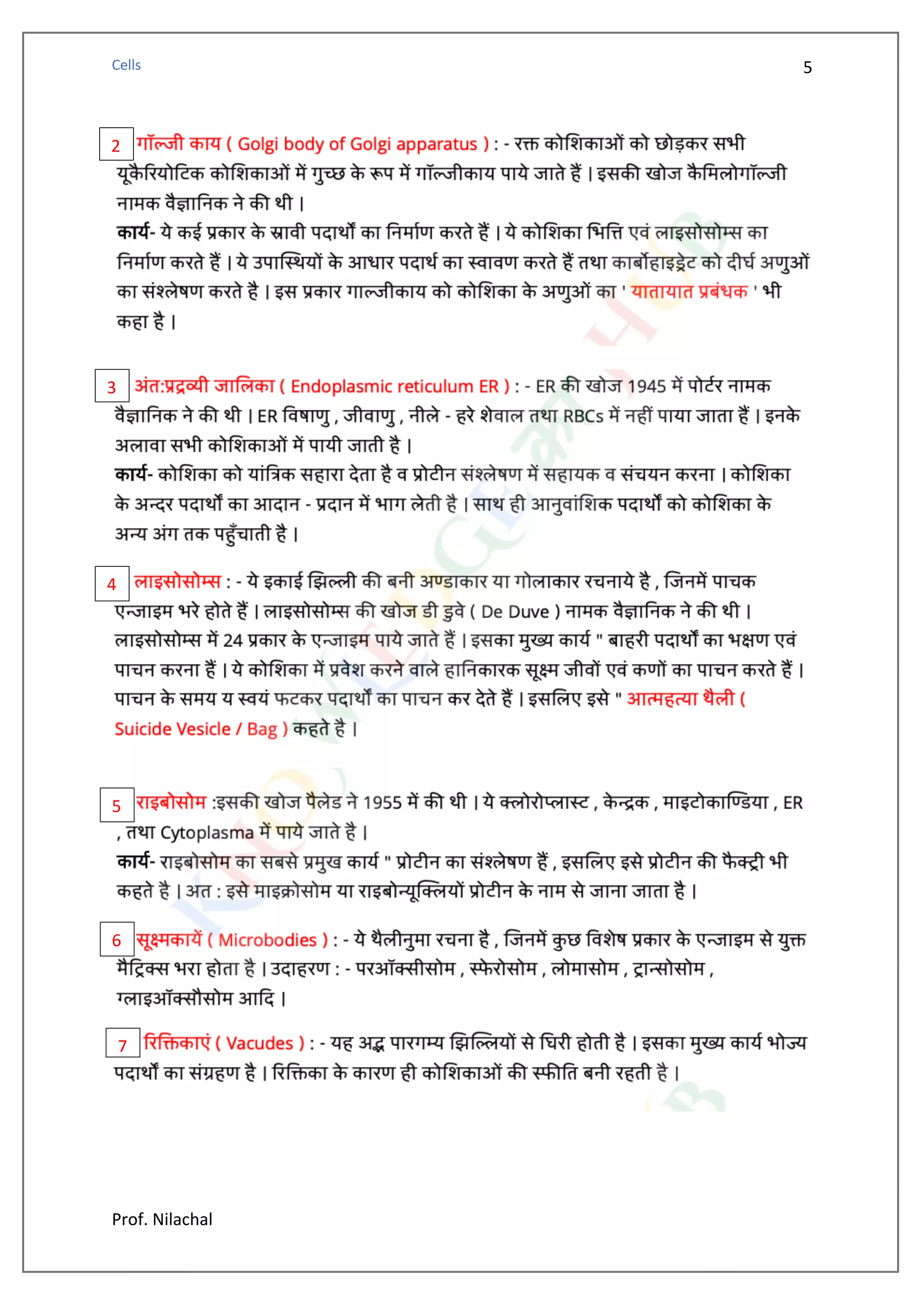 Cell (biology) visual data 6