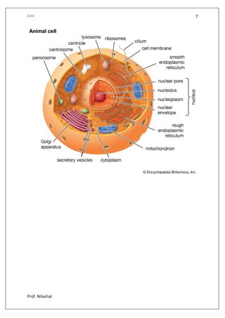 Cell and Its Structure and Function (Hindi) | PDF