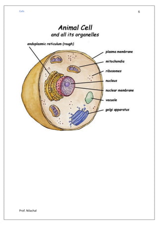 Cell and Its Structure and Function (Hindi) | PDF