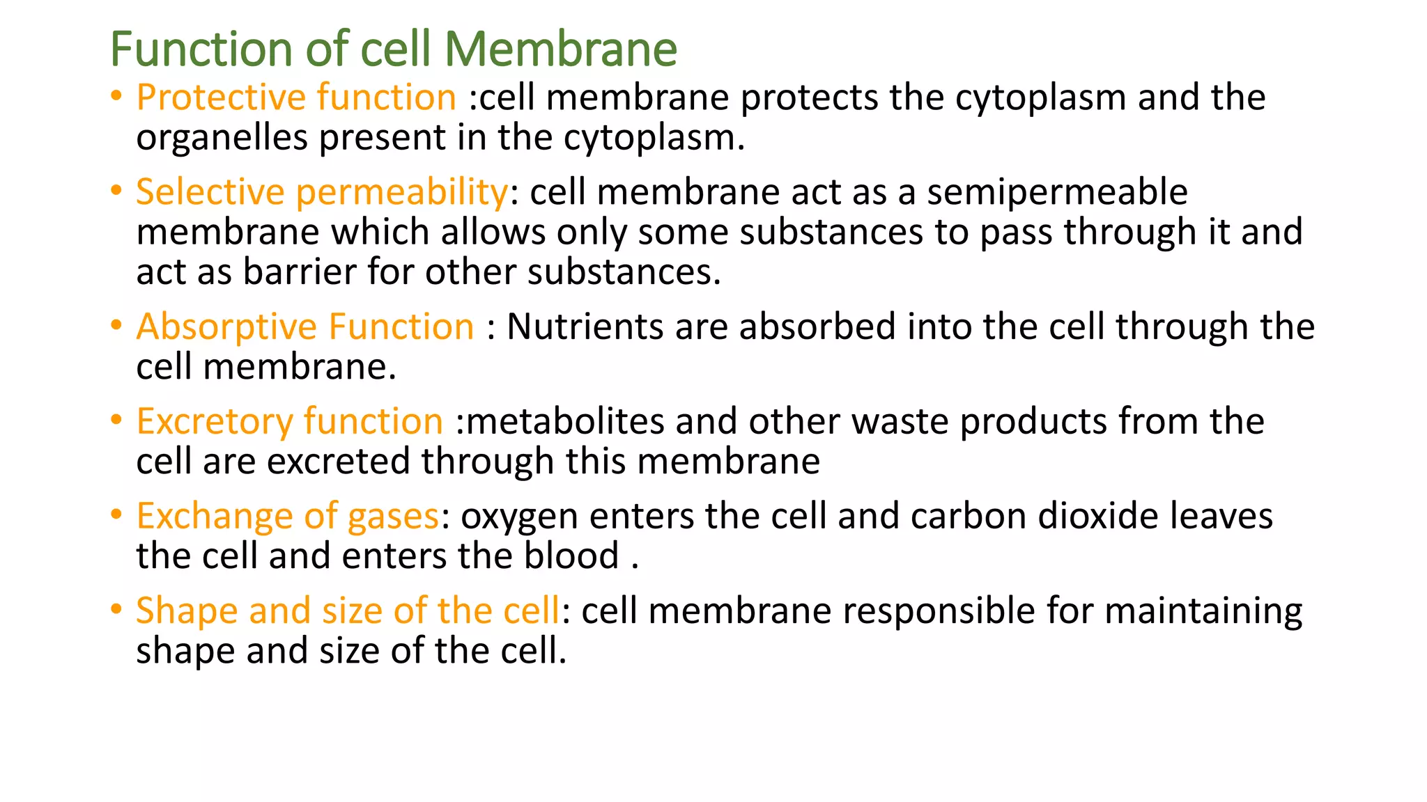 CELL STRUCTURE AND ITS FUNCTION pptx | PPT