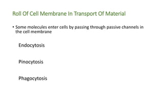 Roll Of Cell Membrane In Transport Of Material
• Some molecules enter cells by passing through passive channels in
the cell membrane
Endocytosis
Pinocytosis
Phagocytosis
 