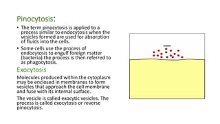 Pinocytosis:
• The term pinocytosis is applied to a
process similar to endocytosis when the
vesicles formed are used for absorption
of fluids into the cells.
• Some cells use the process of
endocytosis to engulf foreign matter
(bacteria).the process is then referred to
as phagocytosis.
Exocytosis
Molecules produced within the cytoplasm
may be enclosed in membranes to form
vesicles that approach the cell membrane
and fuse with its internal surface.
The vesicle is called exocytic vesicles. The
process is called exocytosis or reverse
pinocytosis.
 