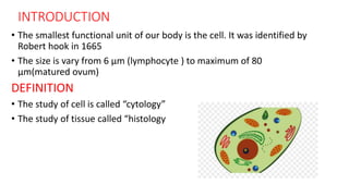 INTRODUCTION
• The smallest functional unit of our body is the cell. It was identified by
Robert hook in 1665
• The size is vary from 6 µm (lymphocyte ) to maximum of 80
µm(matured ovum)
DEFINITION
• The study of cell is called “cytology”
• The study of tissue called “histology
 