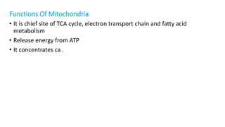 Functions Of Mitochondria
• It is chief site of TCA cycle, electron transport chain and fatty acid
metabolism
• Release energy from ATP
• It concentrates ca .
 