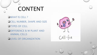 cell presentation | PPTX