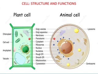 CELL: STRUCTURE AND FUNCTIONS
 