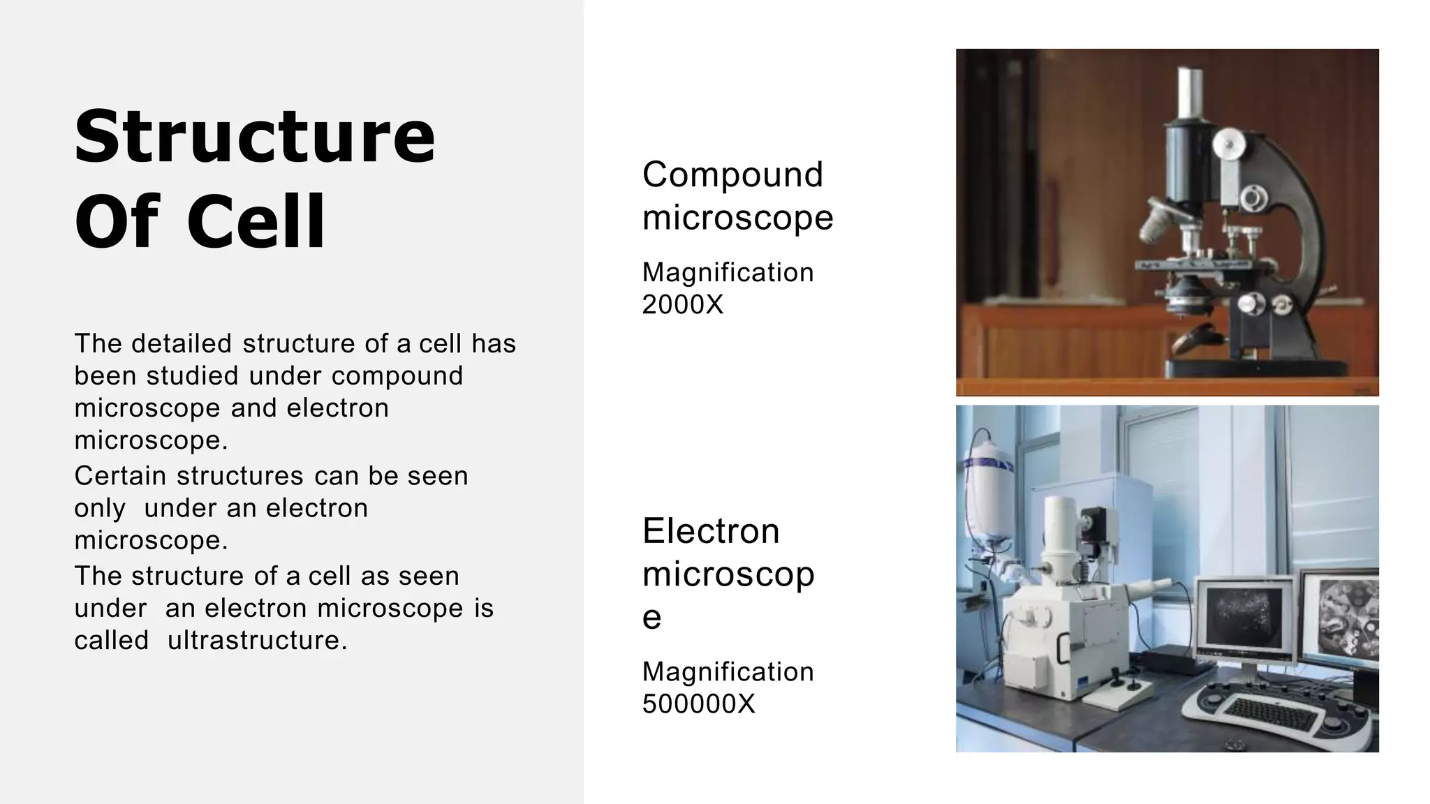 Structure
Of Cell
The detailed structure of a cell has
been studied under compound
microscope and electron
microscope.
Certain structures can be seen
only under an electron
microscope.
The structure of a cell as seen
under an electron microscope is
called ultrastructure.
Compound
microscope
Magnification
2000X
Electron
microscop
e
Magnification
500000X
 