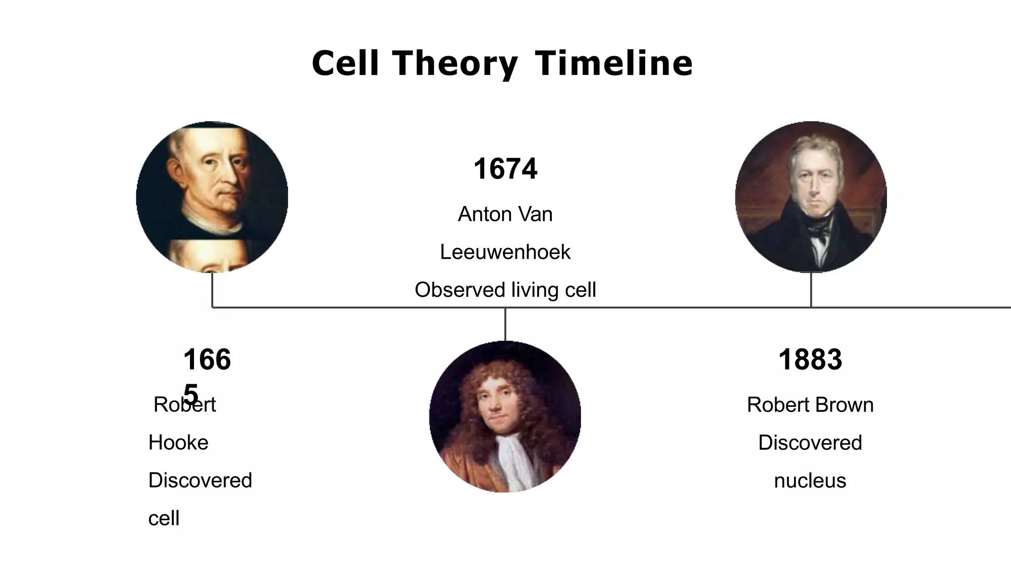166
5
Cell Theory Timeline
Robert
Hooke
Discovered
cell
1674
Anton Van
Leeuwenhoek
Observed living cell
1883
Robert Brown
Discovered
nucleus
 