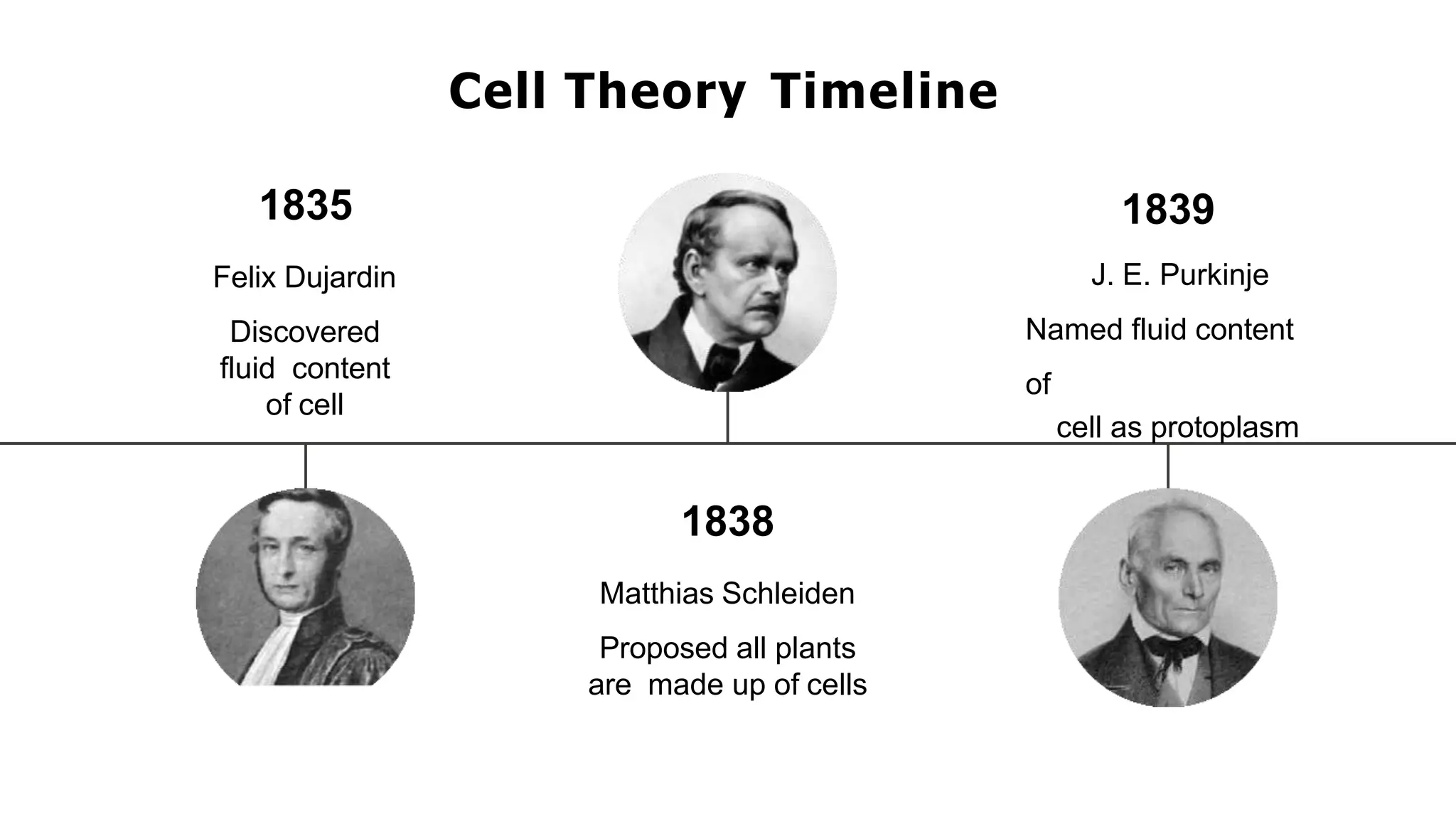 1835
Felix Dujardin
Discovered
fluid content
of cell
1838
Matthias Schleiden
Proposed all plants
are made up of cells
1839
J. E. Purkinje
Named fluid content
of
cell as protoplasm
Cell Theory Timeline
 