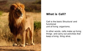 What is Cell?
Cell is the basic Structural and
functional
unit of living organisms.
In other words, cells make up living
things and carry out activities that
keep a living thing alive.
 