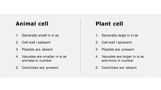 1. Generally small in si ze
2. Cell wall i sabsent
3. Plastids are absent
4. Vacuoles are smaller in si ze
and less in number
5. Centrioles are present
1. Generally large in si ze
2. Cell wall i spresent
3. Plastids are present
4. Vacuoles are larger in si ze
and more in number
5. Centrioles are absent
Animal cell Plant cell
 