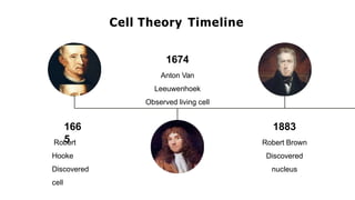 166
5
Cell Theory Timeline
Robert
Hooke
Discovered
cell
1674
Anton Van
Leeuwenhoek
Observed living cell
1883
Robert Brown
Discovered
nucleus
 