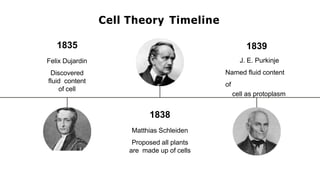 1835
Felix Dujardin
Discovered
fluid content
of cell
1838
Matthias Schleiden
Proposed all plants
are made up of cells
1839
J. E. Purkinje
Named fluid content
of
cell as protoplasm
Cell Theory Timeline
 
