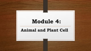 Module 4:
Animal and Plant Cell
 