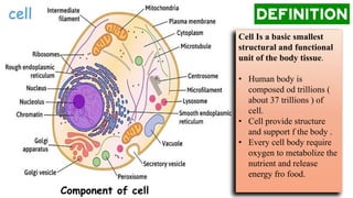 Cell.pdf