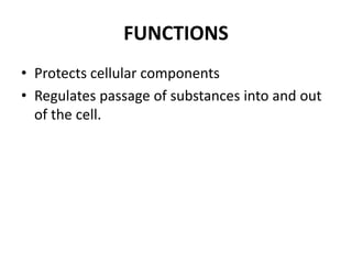 • The permeability of the cell membrane
depends on:
– structure of the cell membrane: thickness,
phospholipids, structural...