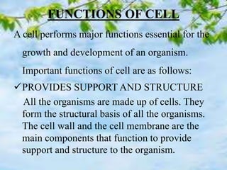 cell.pptx